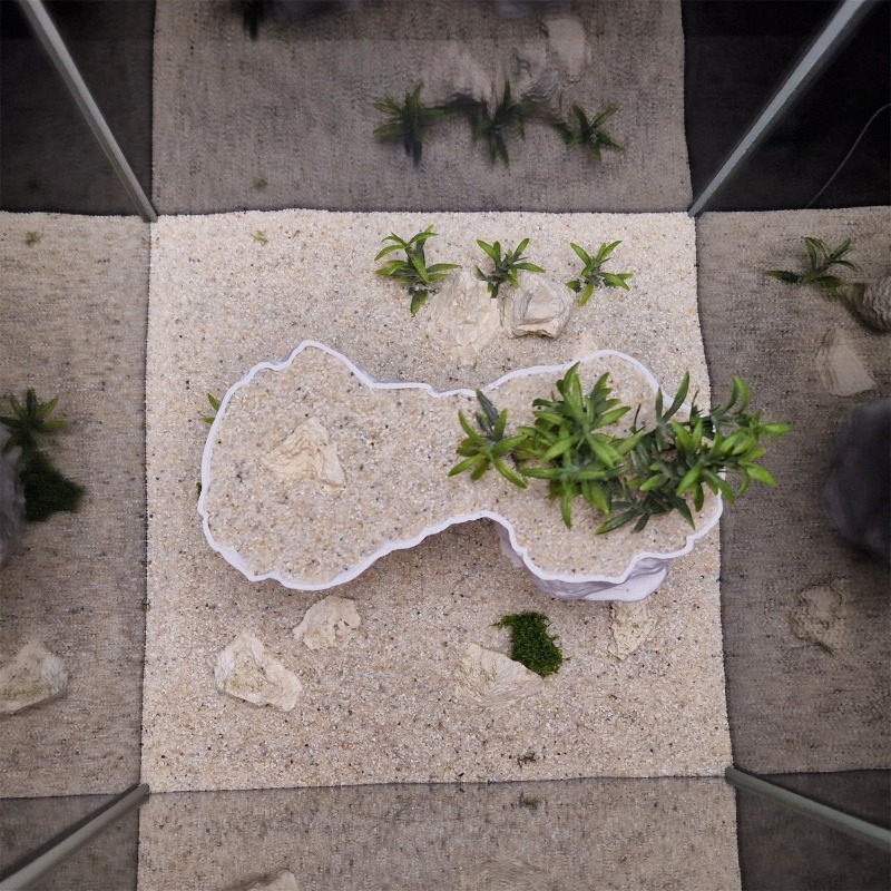 Aquarium 3D Printed Planting B - огляд і ціна Aquarium Planted Tank Soil