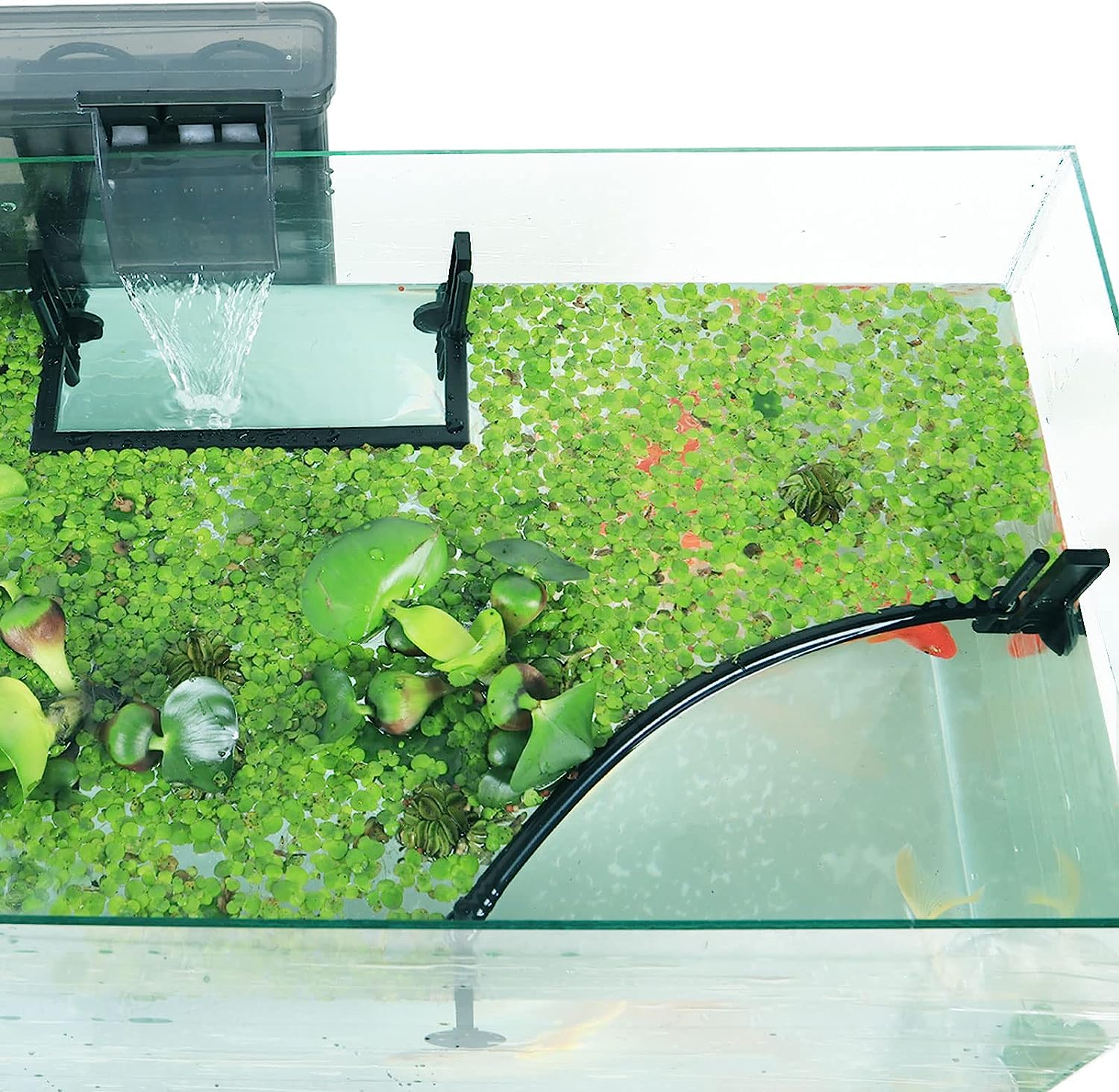 Aquarium Floating Plant Corral - огляд і ціна Planted Aquarium Heater