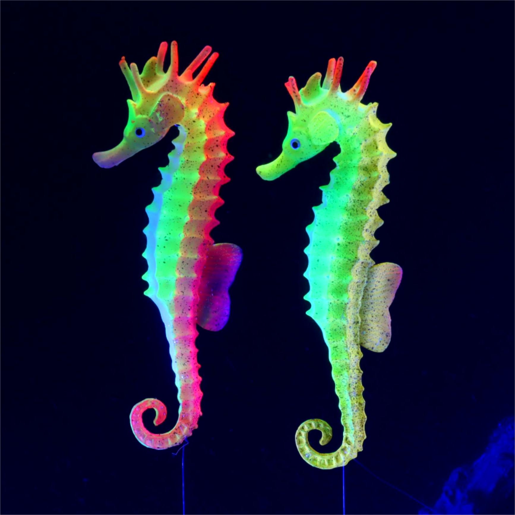 1pc Fish Tank Decoration Lumin - огляд і ціна Aquarium Plant Gel