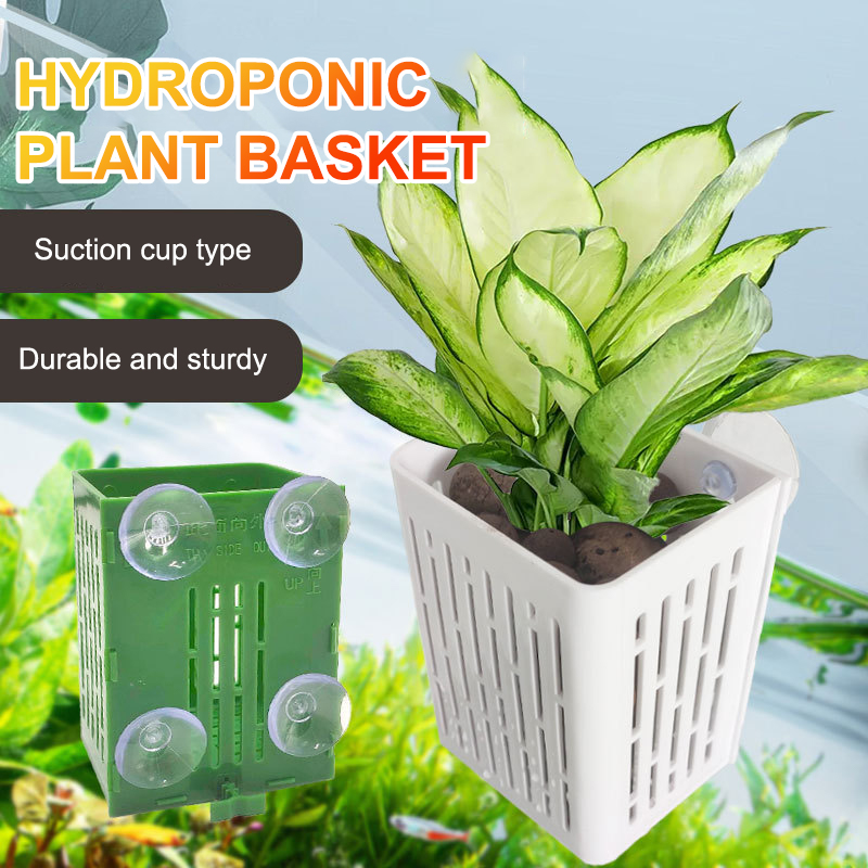 Hanging Suction Cup Hook Aquar - огляд і ціна Aquarium Plant Holder