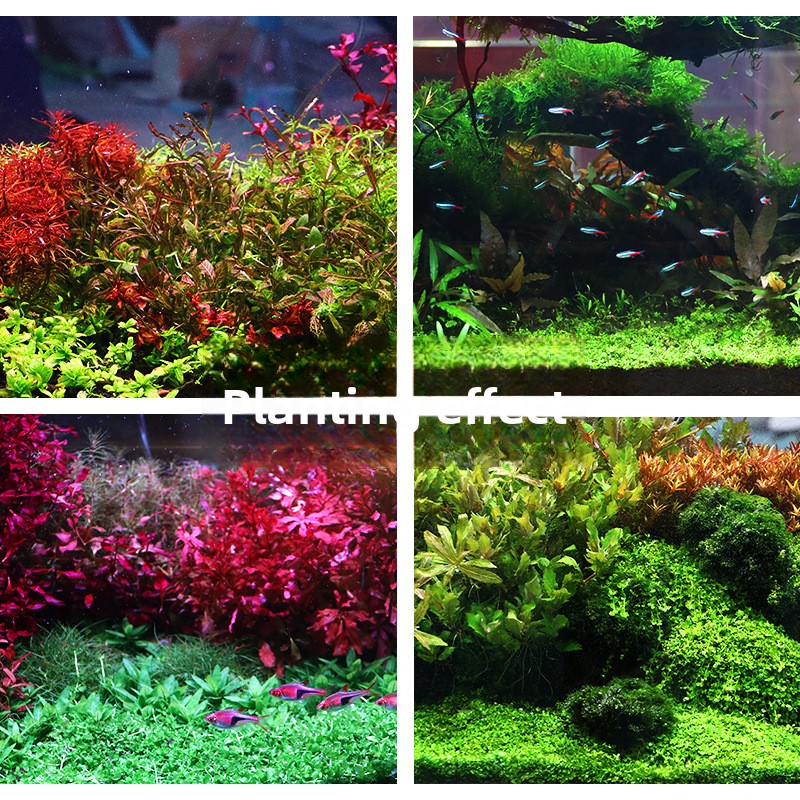 SYSENCIAGA Planted Aquarium Su - огляд і ціна Aquarium Planted Tank Soil
