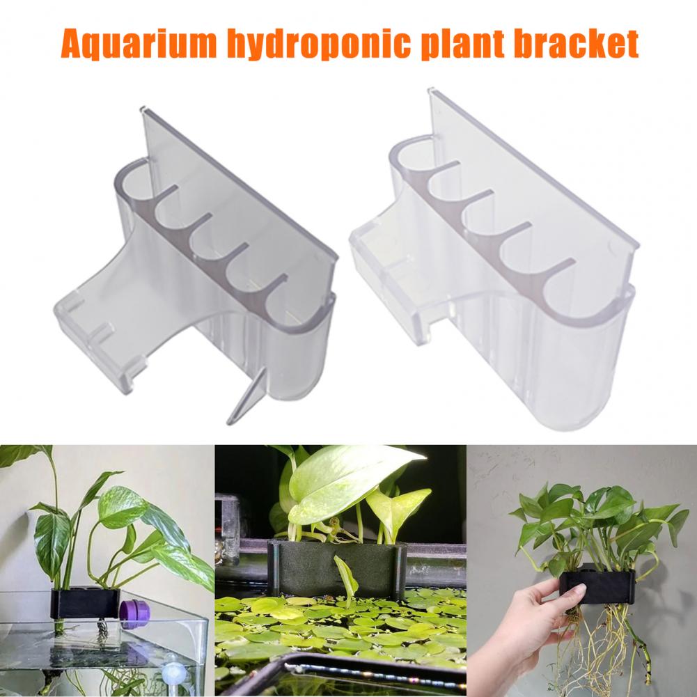 4.5/6.5cm Aquarium Plant Holde - огляд і ціна Aquarium Plant Holder