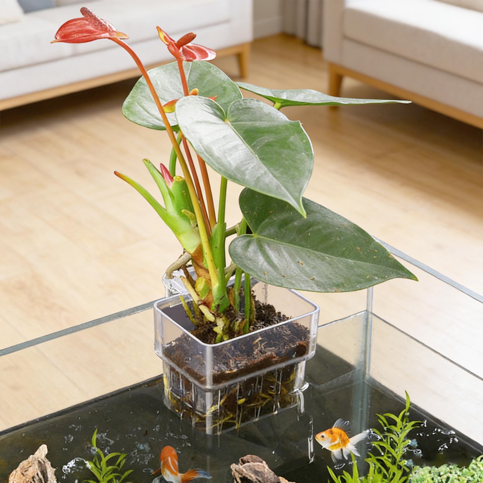 Fish Tank Fixed Basket Wall mo - огляд і ціна Aquarium Plant Holder