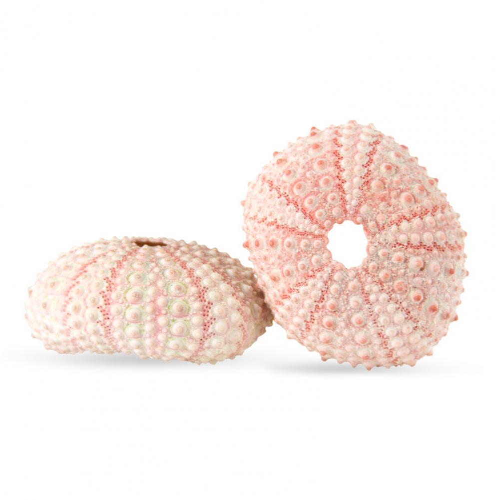 5cm-6cm Sea Shell Conch Orname - огляд і ціна Planted Aquarium Air Stone