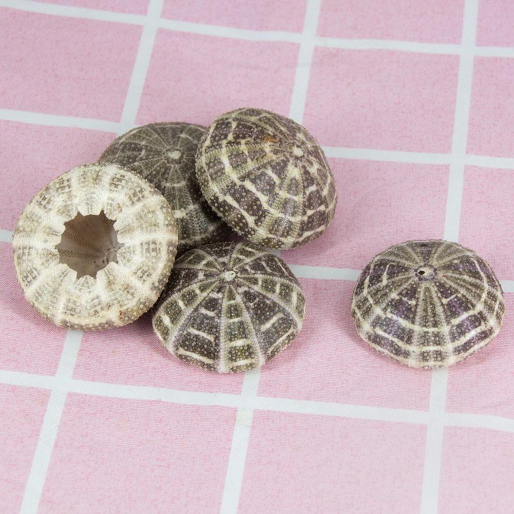 5cm-6cm Sea Shell Conch Orname - огляд і ціна Planted Aquarium Air Stone