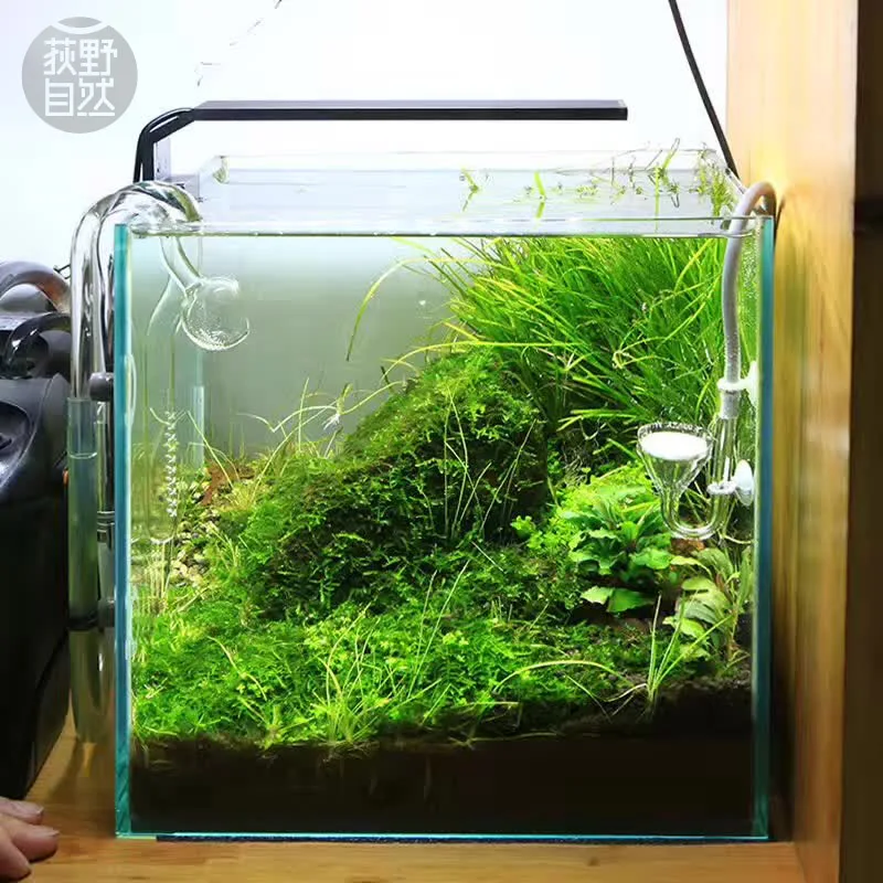 Chihiros C Series ADA Style Pl - огляд і ціна Aquarium Plant Growth