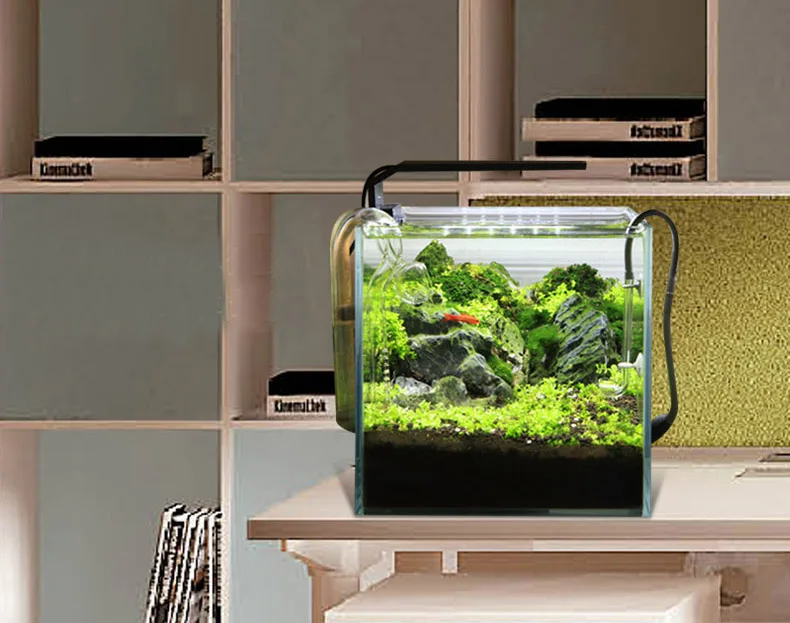 Chihiros C Series ADA Style Pl - огляд і ціна Aquarium Plant Growth