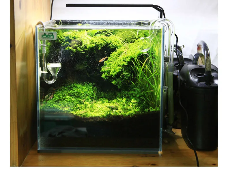 Chihiros C Series ADA Style Pl - огляд і ціна Aquarium Plant Growth