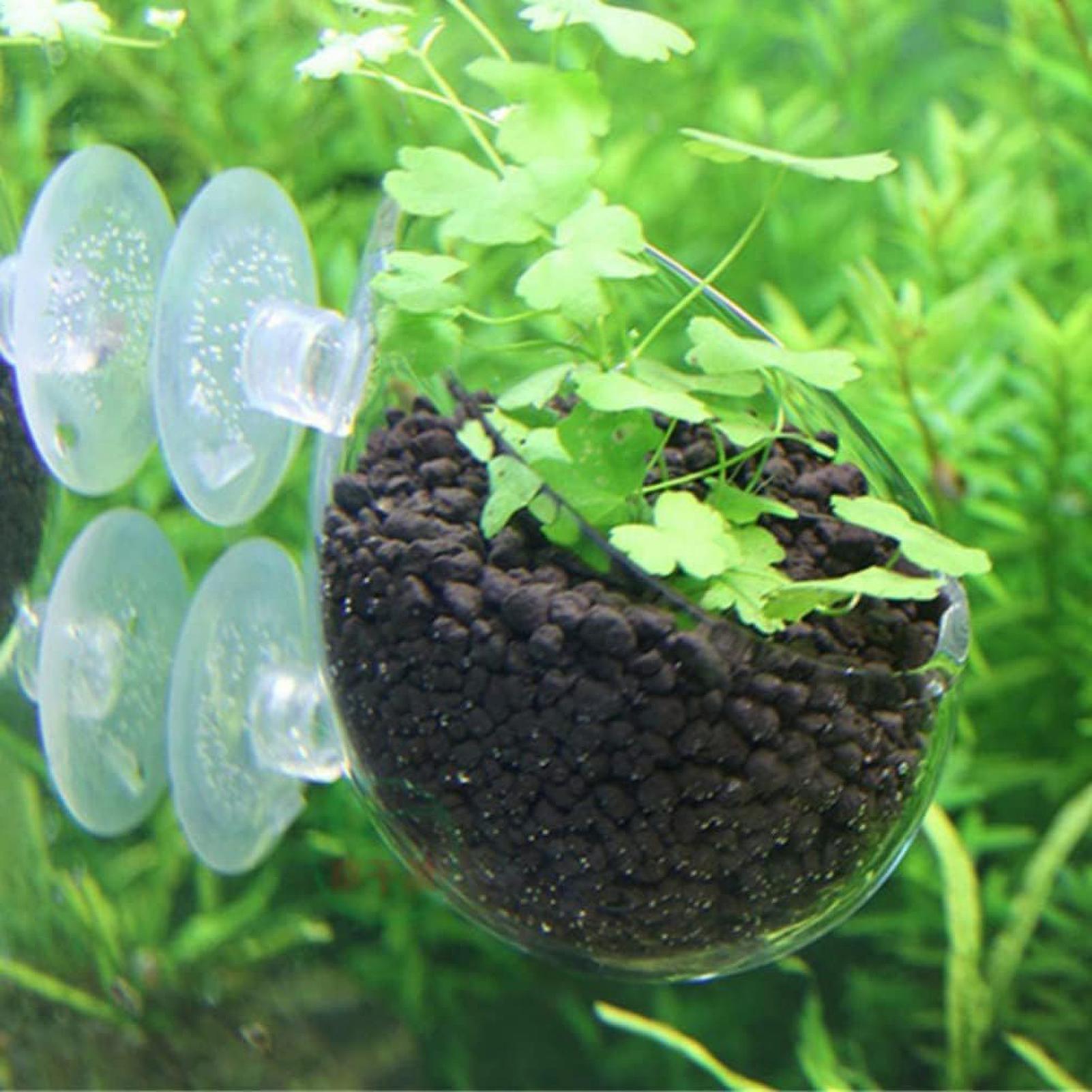 Aquarium Glass Plant Pot with  - огляд і ціна Aquarium Plant Gel