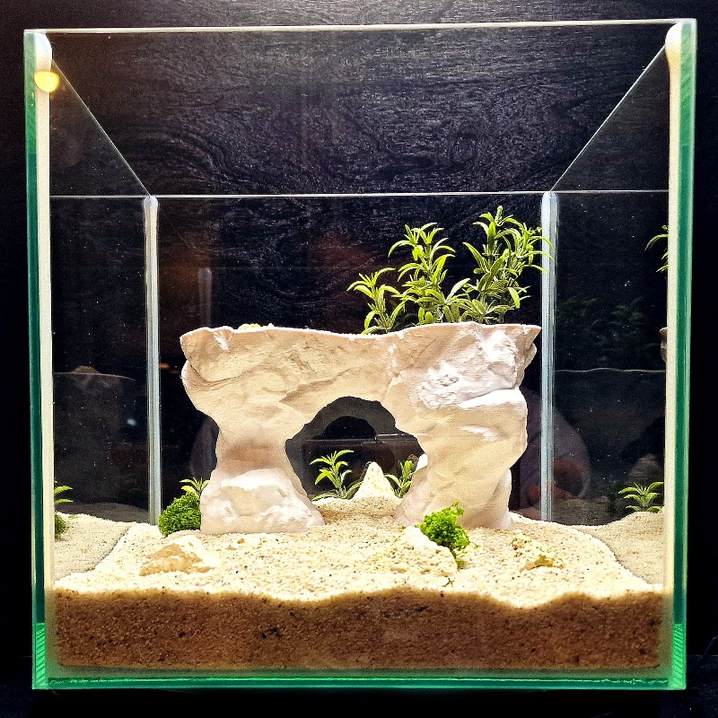 3D Printed Aquarium Planting B - огляд і ціна Aquarium Planted Tank Soil
