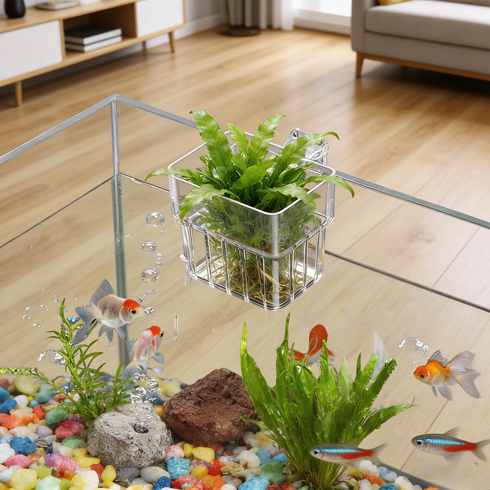 Aquarium Transparent Hanger Po - огляд і ціна Aquarium Plant Holder