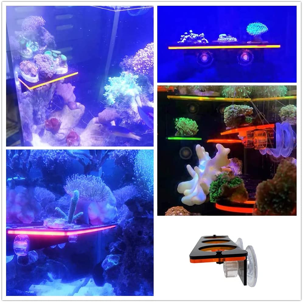 Fluorescent Coral Frag Plug Br - огляд і ціна Aquarium Plant Holder